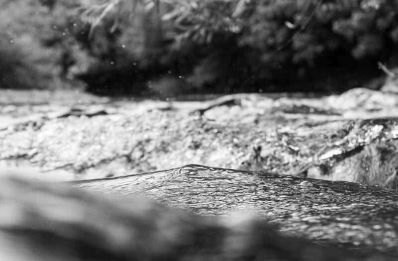 Black and white selective focus image of a stream