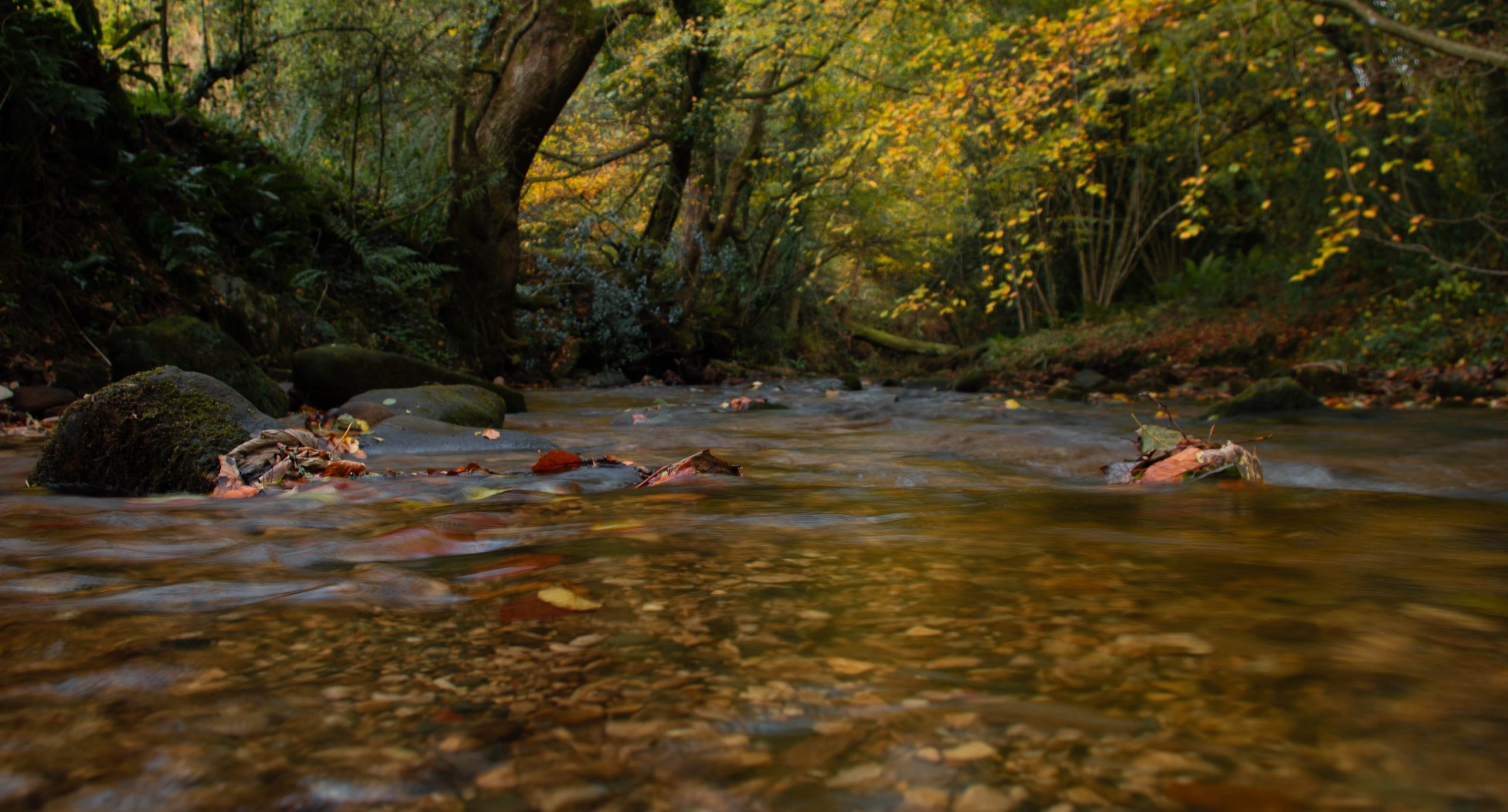 Picture of pebbles on the beach with people play at the waters edge